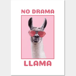 No drama Posters and Art